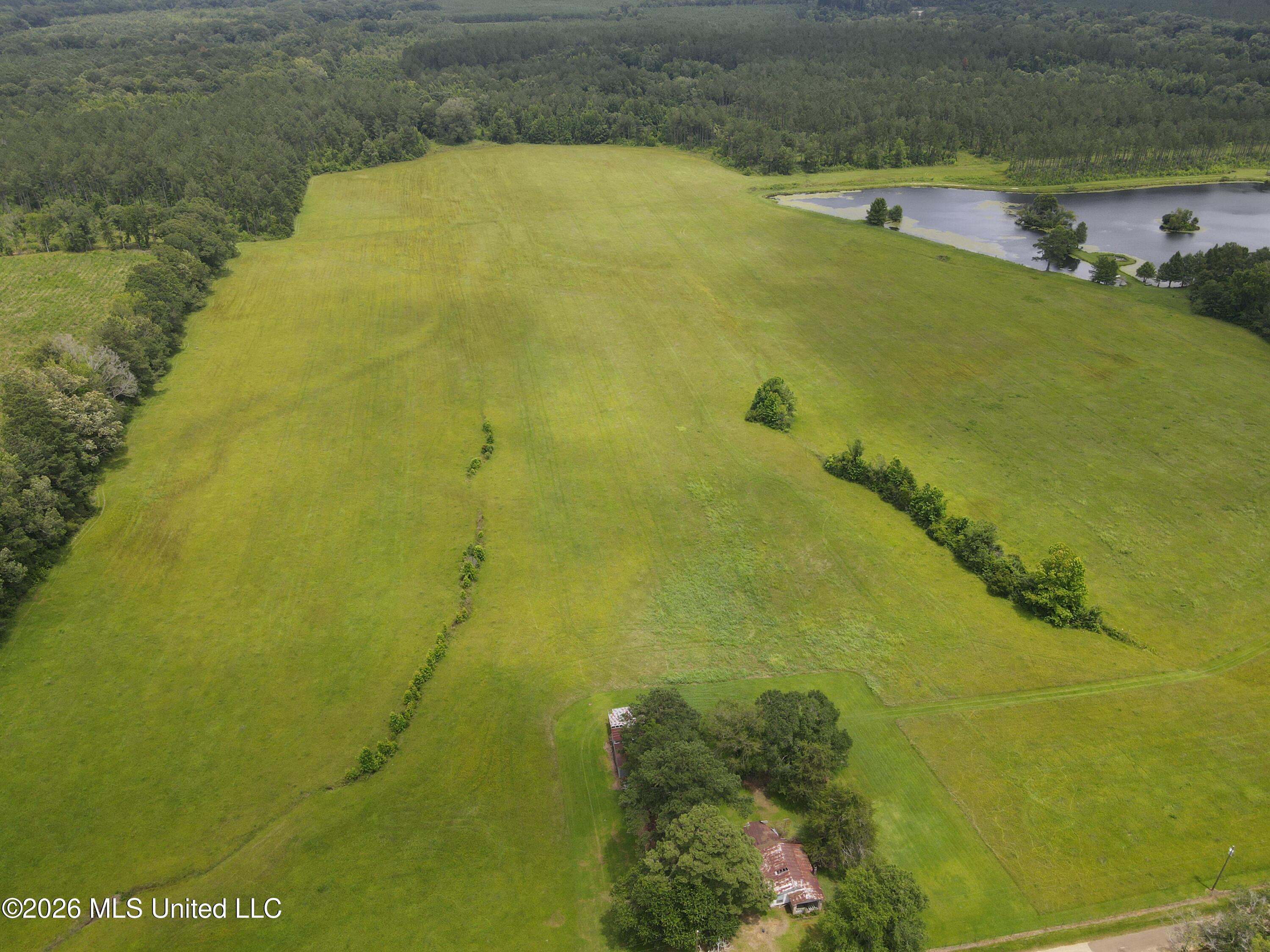 244 Foster Road Sontag, MS 39665 - Photo 45 of 105 35536