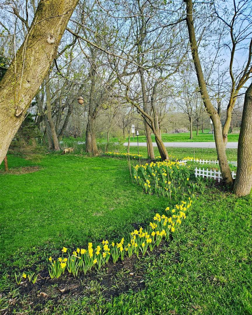 7500 South Solon Road Spring Grove, IL 60081 - Photo 17 of 20 Gallery Image 17