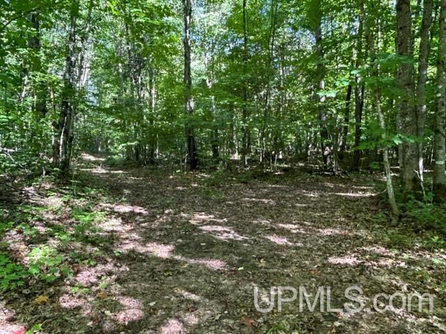 16 16 Mile Lake Road Munising, MI 49862 - Photo 5 of 8