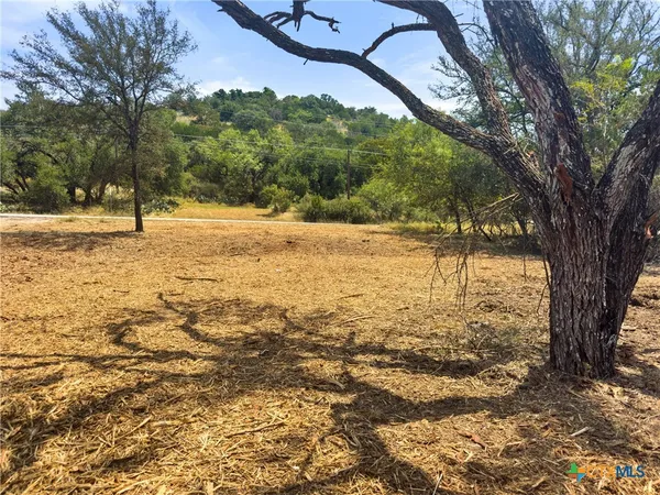 a view of yard with trees