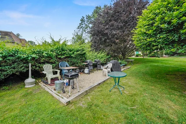 a view of a garden with a bench and some trees