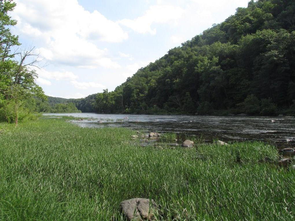 102 Doc Fox Road Forest Hill, WV 24935 - Photo 1 of 1 Gallery Image 1