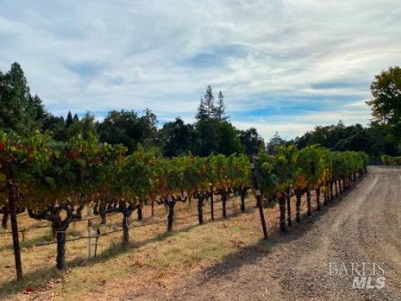1180 Monticello Road Napa, CA 94558 - Photo 64 of 68