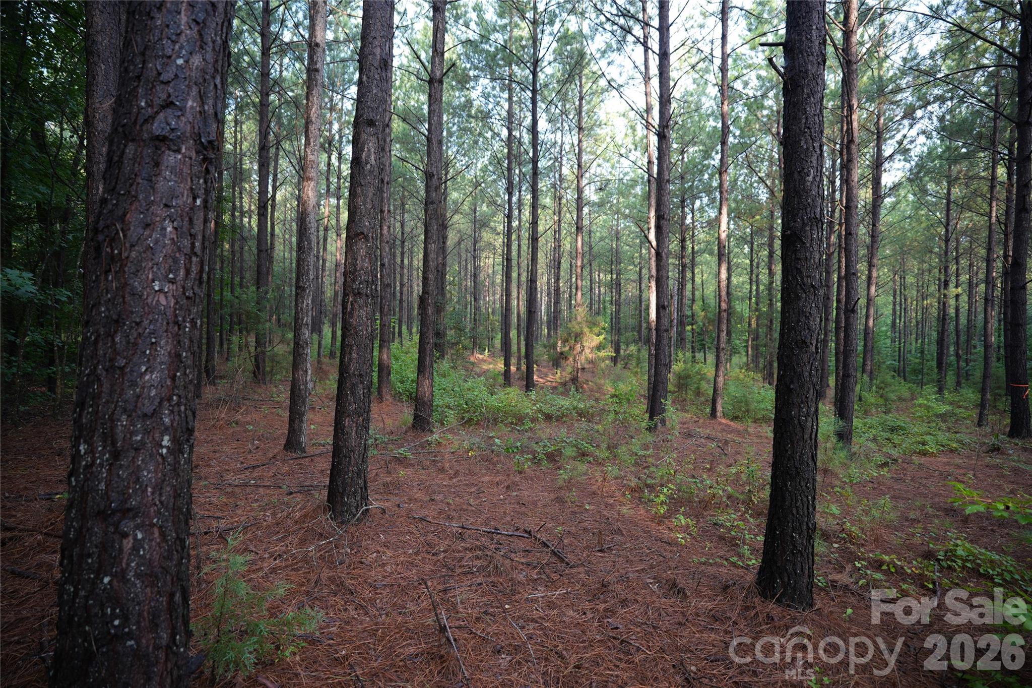 0 Bobby Faucette Road, Unit 8 Jonesville, SC 29353 - Photo 7 of 20 Gallery Image 7