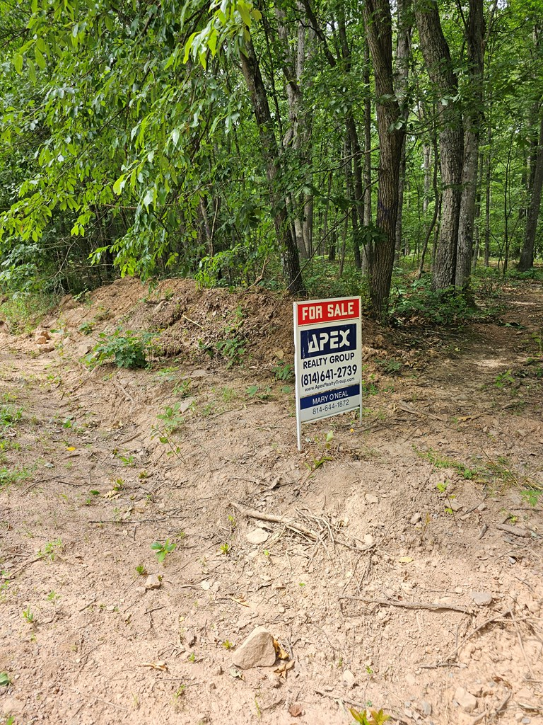 Lot 25 Summer Road Robertsdale, PA 16674 - Photo 4 of 4 Gallery Image 4