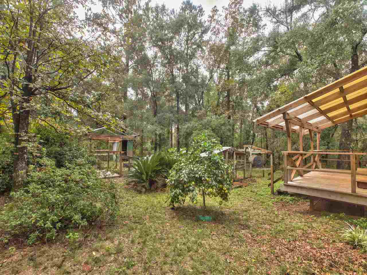 902 Kittrell Road Quincy, FL 32351 - Photo 6 of 35 Gallery Image 6