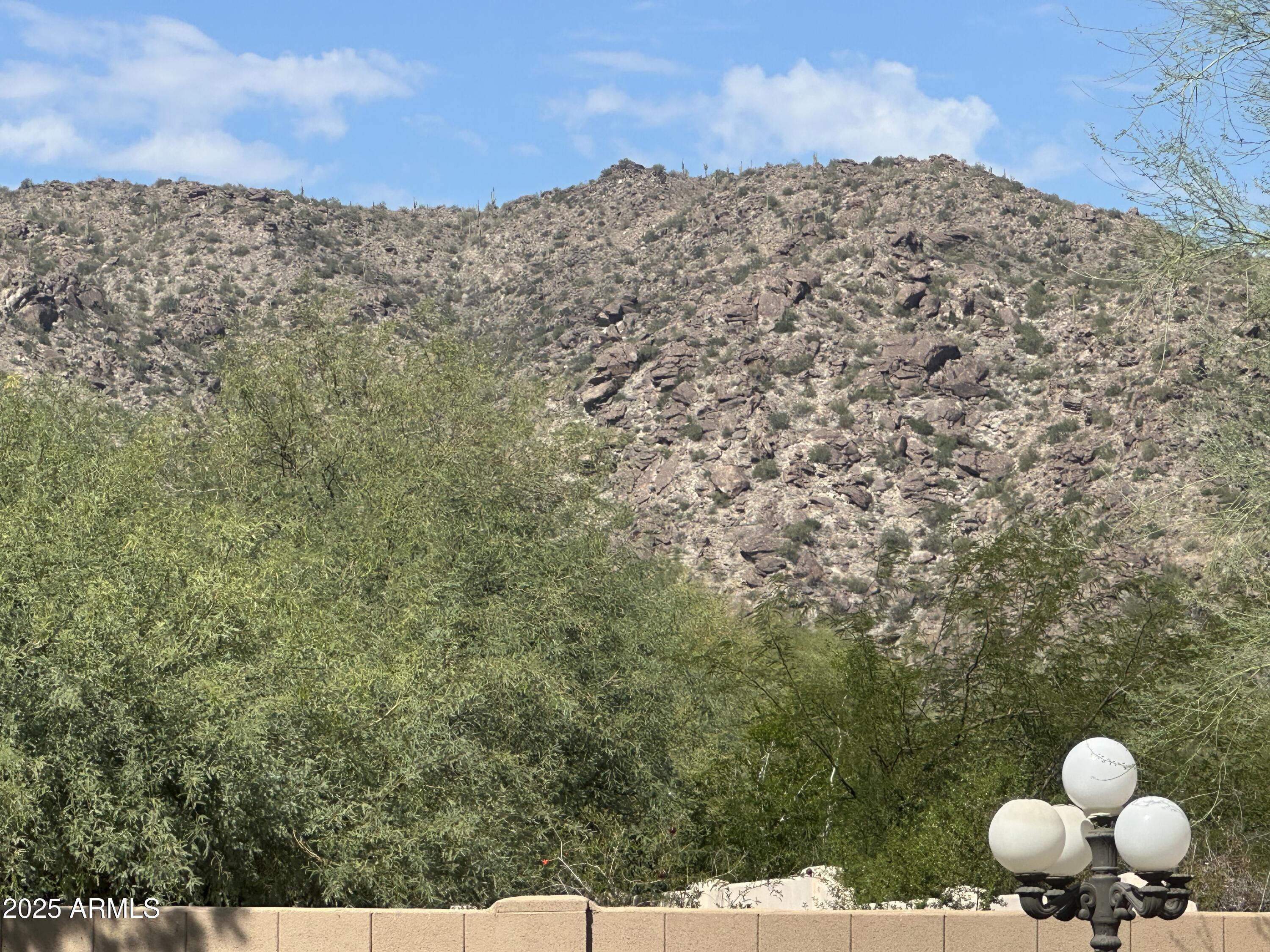 3332 East Cherokee Street Phoenix, AZ 85044 - Photo 47 of 47 a view of a mountain