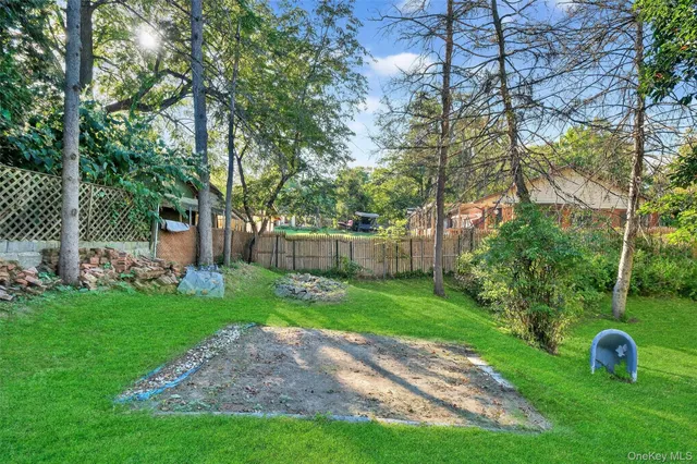 a view of a park with large trees