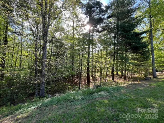 a view of park space