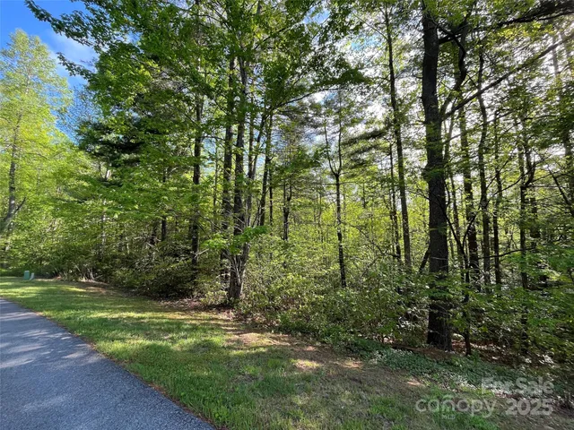 a view of a yard with a trees