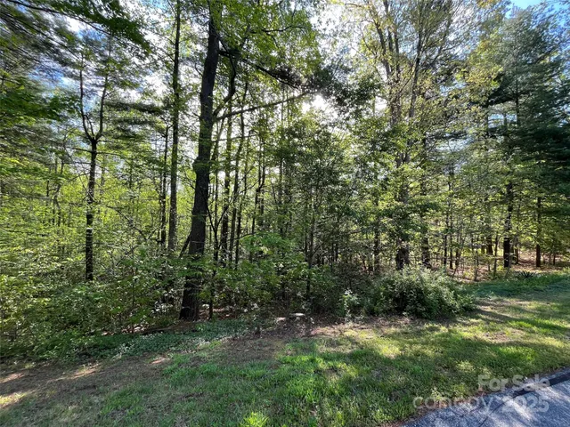a view of a trees with a yard