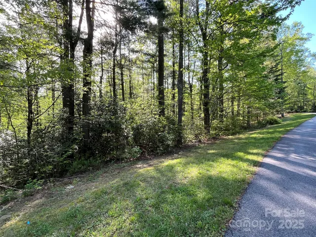 a view of yard with green space