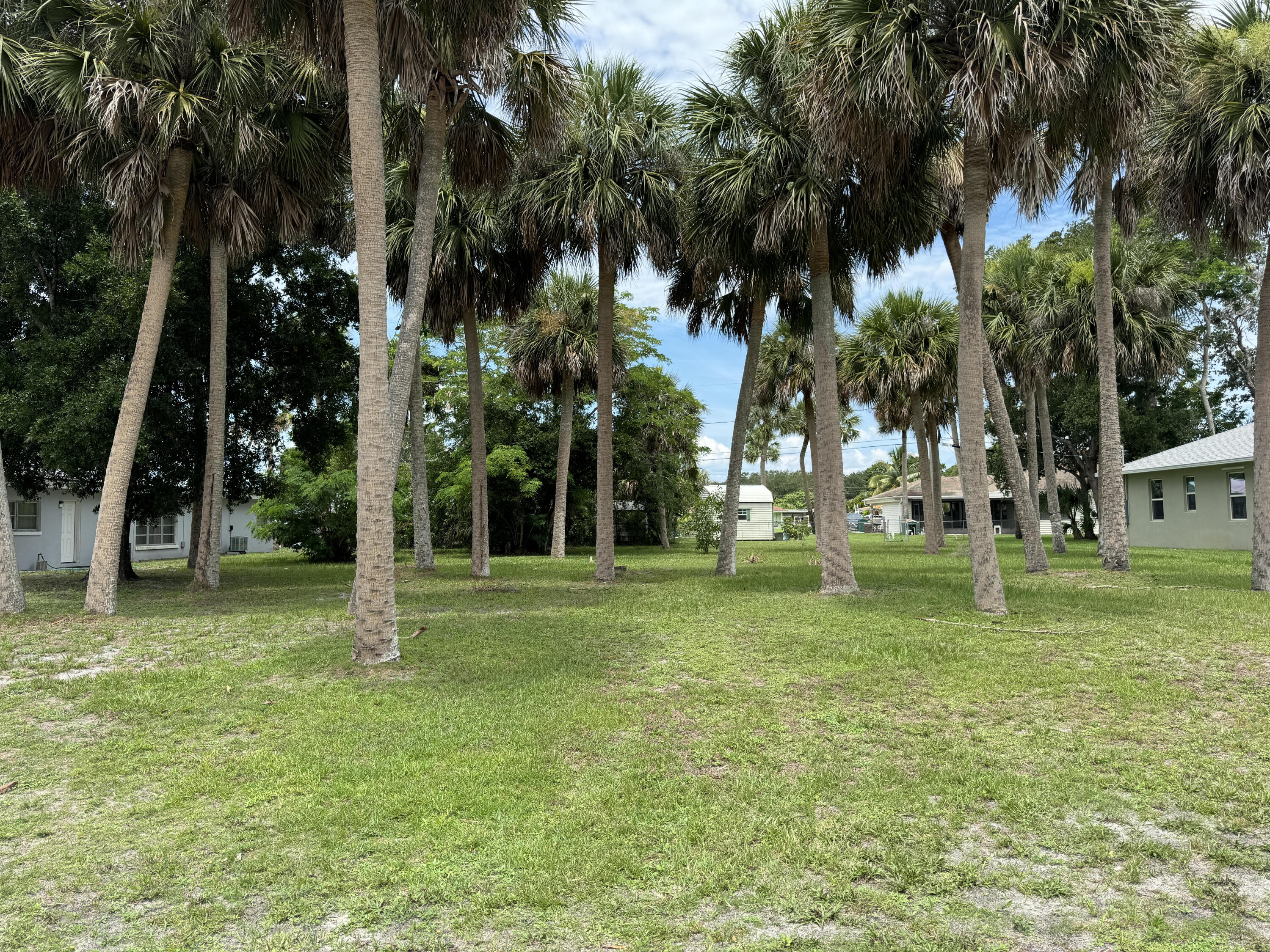 0 Unknown Drive Melbourne, FL 32901 - Photo 3 of 5 a view of a park with palm trees