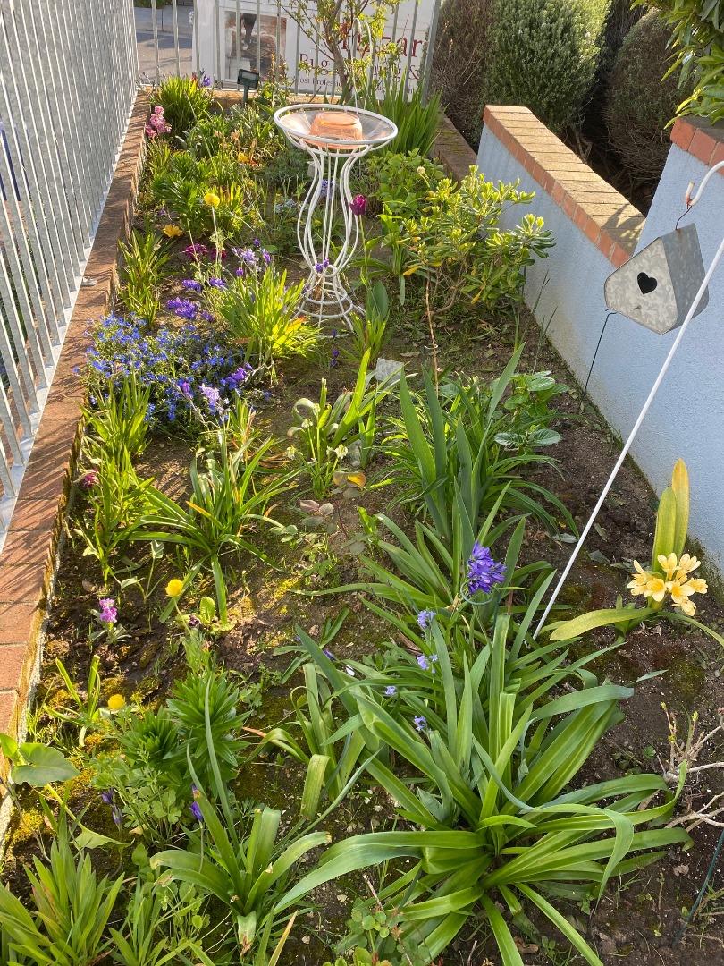 621 McClellan Avenue, Unit STUDIO Monterey, CA 93940 - Photo 25 of 32 a picture of flowers