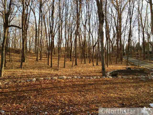 26820 Edgewood Road Shorewood, MN 55331 - Photo 5 of 5