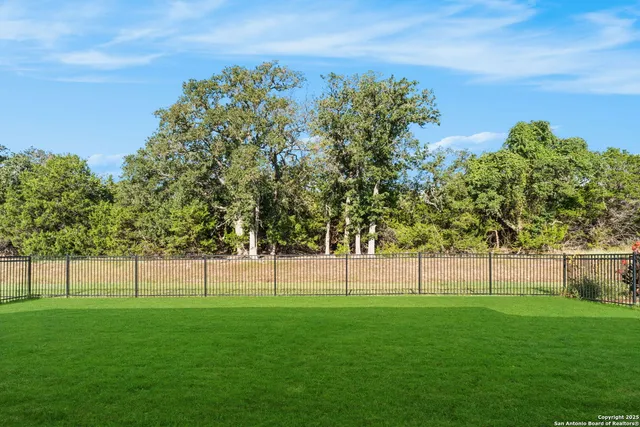 a view of a yard with a palm tree