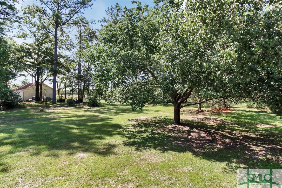 263 Cypress Point Road Springfield, GA 31329 - Photo 29 of 30