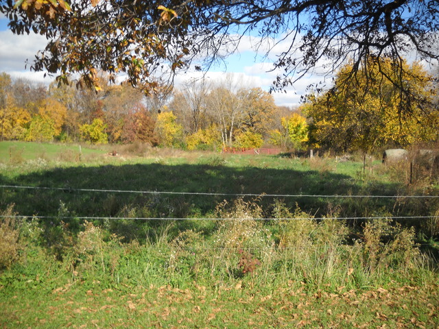11251 Sulphur Springs Road Loami, IL 62661 - Photo 13 of 25