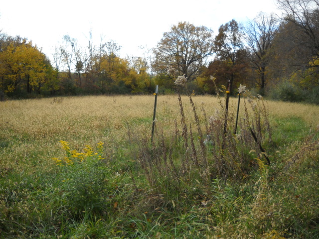 11251 Sulphur Springs Road Loami, IL 62661 - Photo 15 of 25