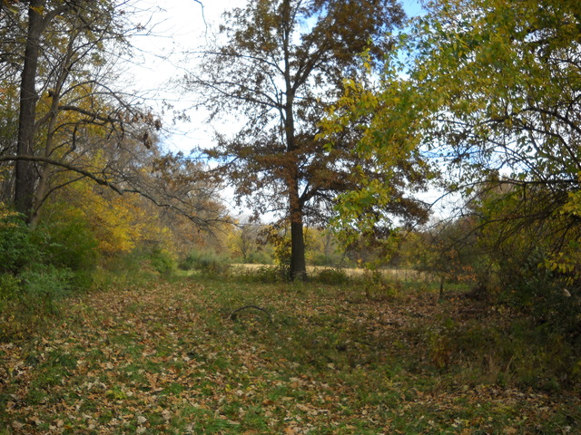 11251 Sulphur Springs Road Loami, IL 62661 - Photo 18 of 25