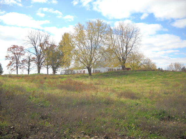 11251 Sulphur Springs Road Loami, IL 62661 - Photo 19 of 25