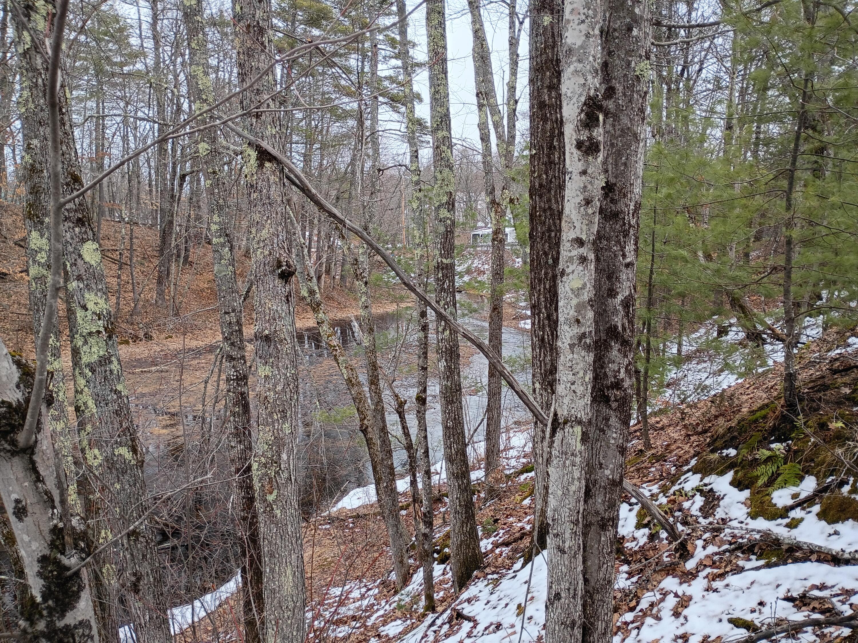 23 Pine Street Porter, ME 04068 - Photo 4 of 6 IMG_20260326_145220301_HDR