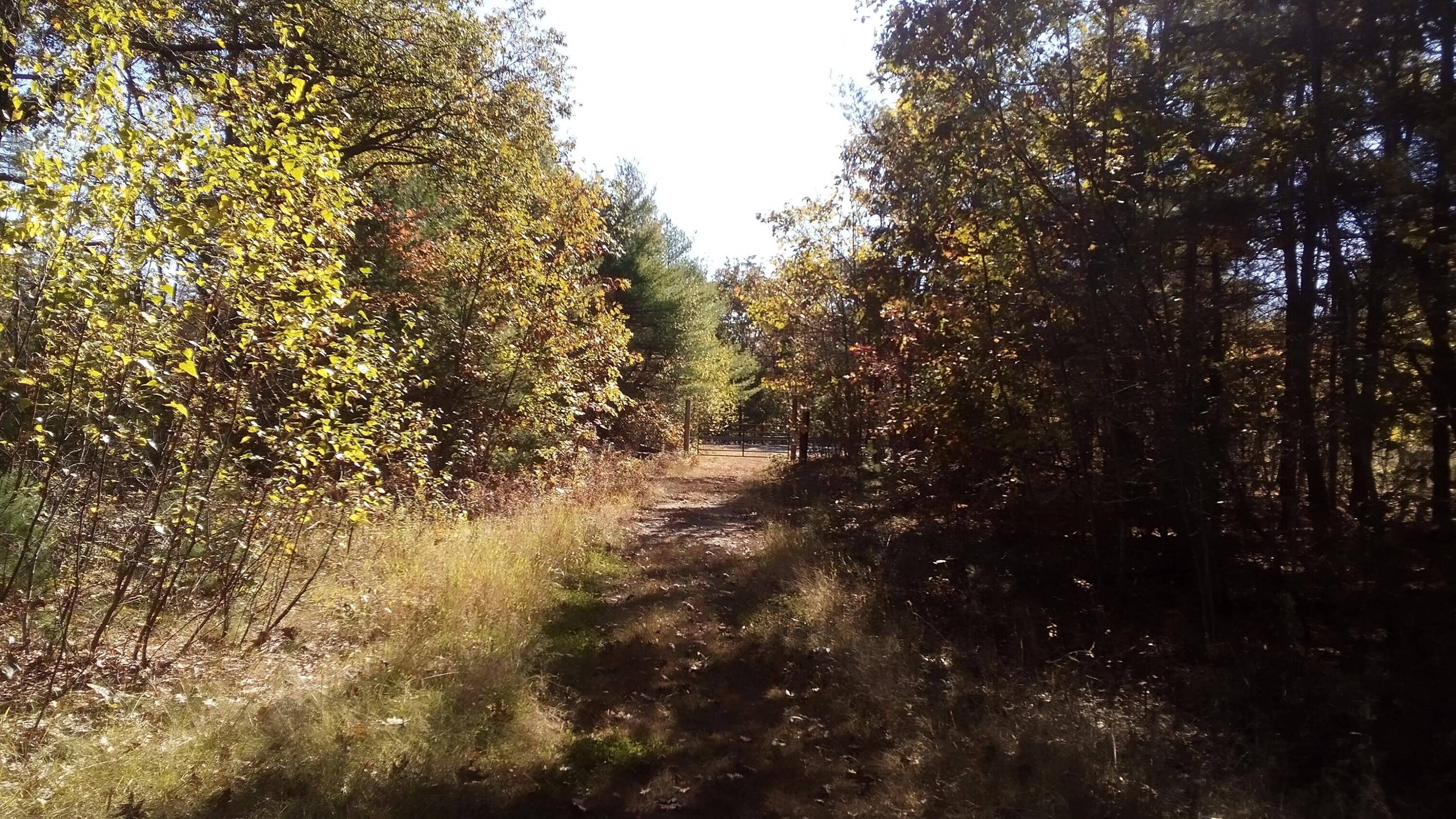 23 Pine Street Porter, ME 04068 - Photo 6 of 6 IMG_20251011_112926 (1)