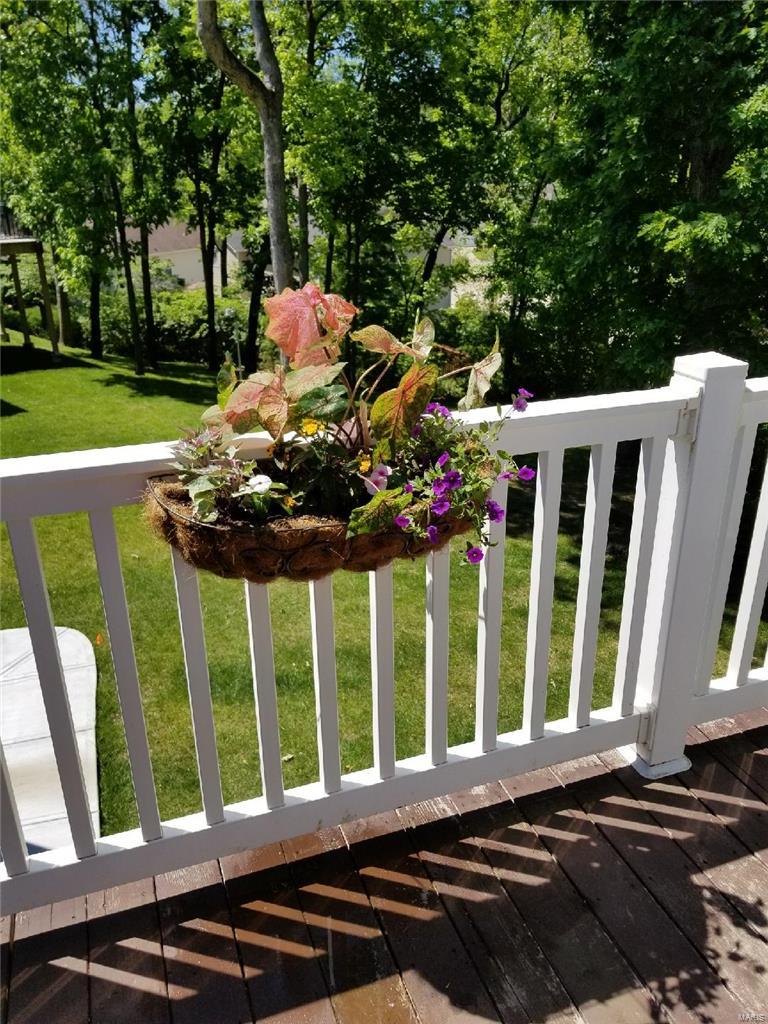 1237 Birch Meadow Court High Ridge, MO 63049 - Photo 56 of 61 Gallery Image 56