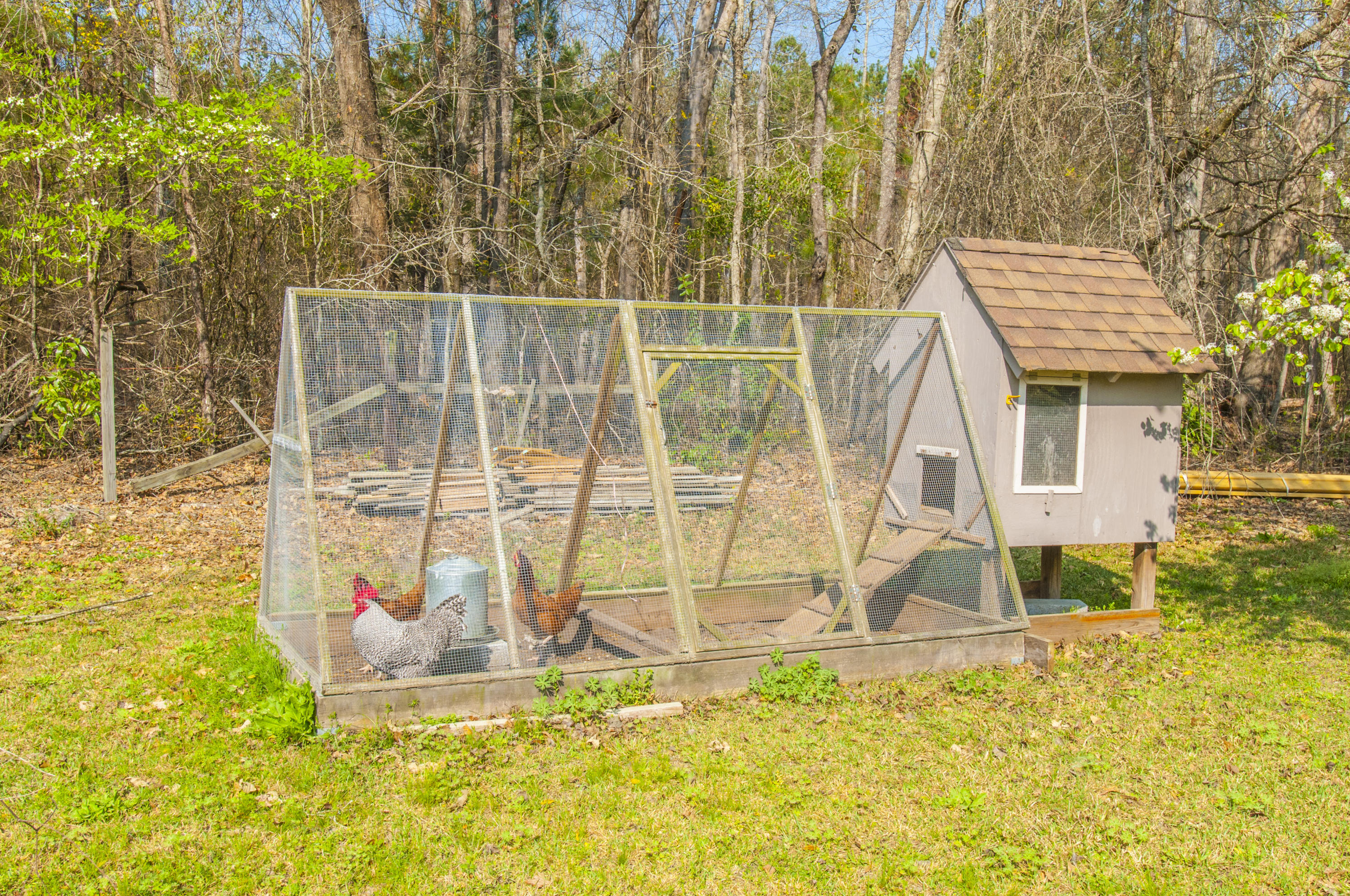 1069 Mt Zion Road St. George, SC 29477 - Photo 12 of 30 _DSC9105 - Copy