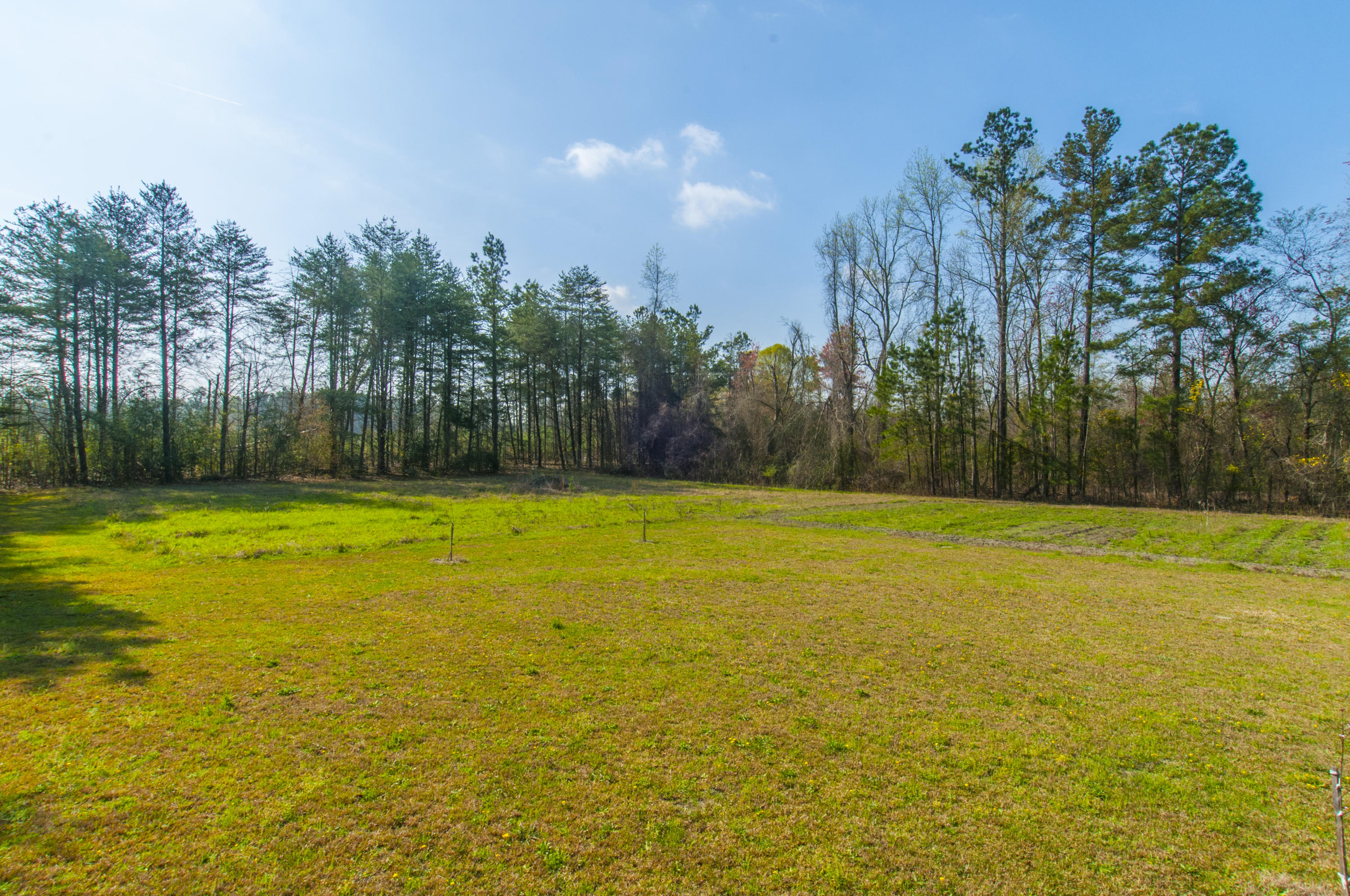 1069 Mt Zion Road St. George, SC 29477 - Photo 9 of 30 _DSC9097 - Copy