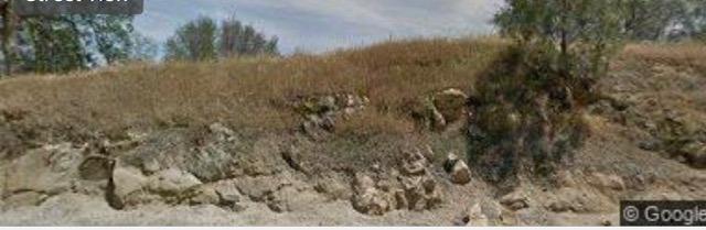 24706 Auberry Road Clovis, CA 93619 - Photo 5 of 7 a view of a yard