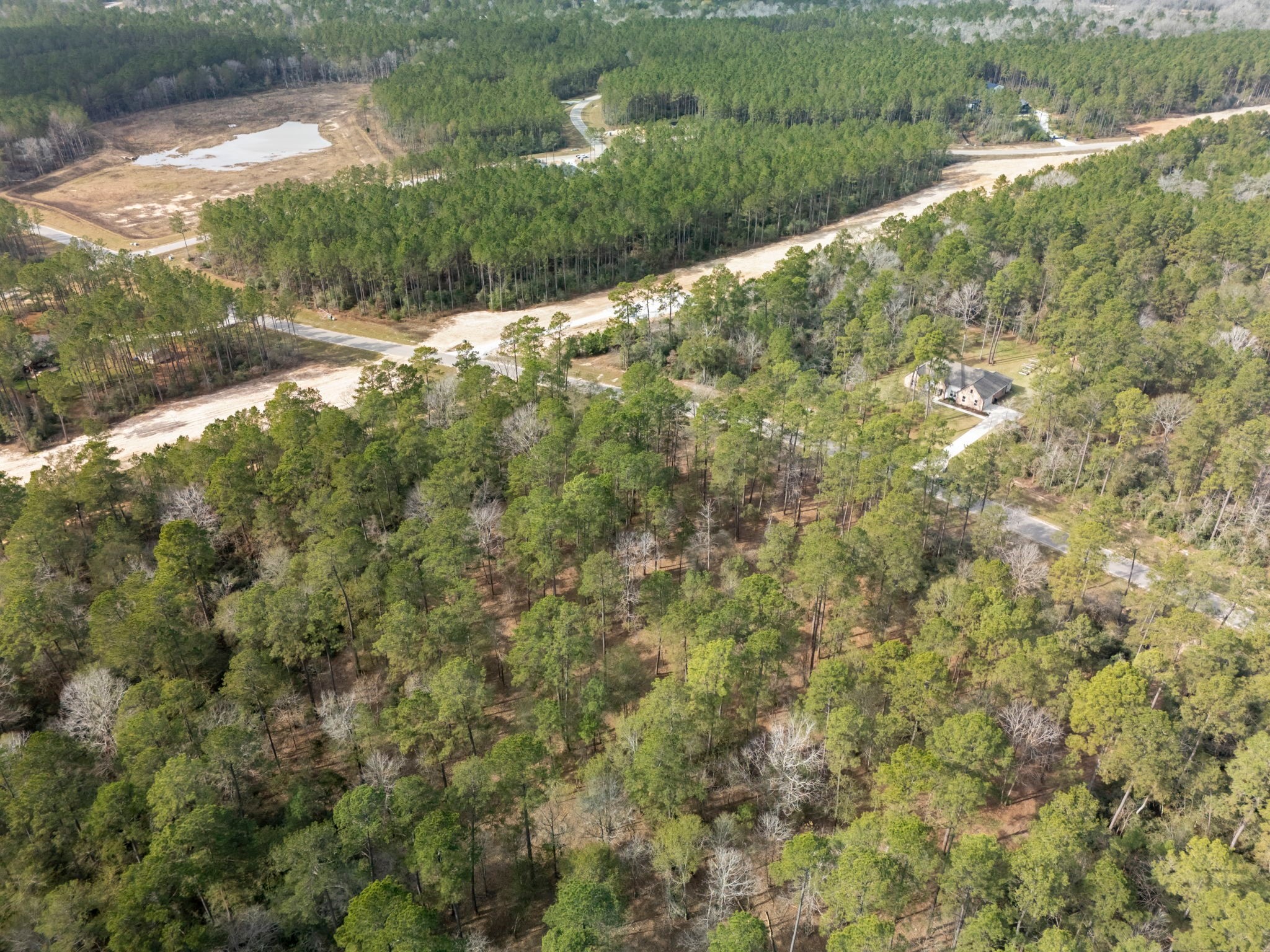 15880 Four Hls Road Willis, TX 77378 - Photo 16 of 25 a view of a green yard with large trees