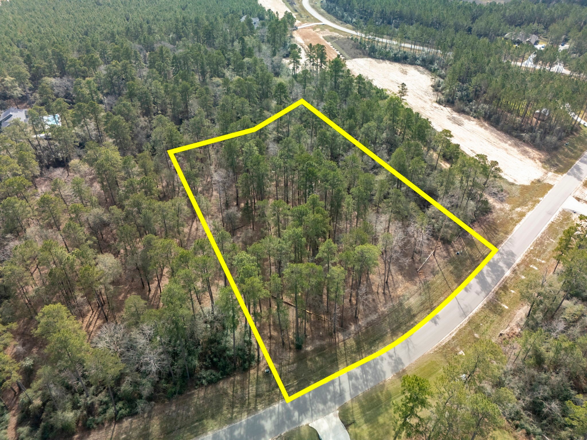 15880 Four Hls Road Willis, TX 77378 - Photo 19 of 25 a view of a backyard