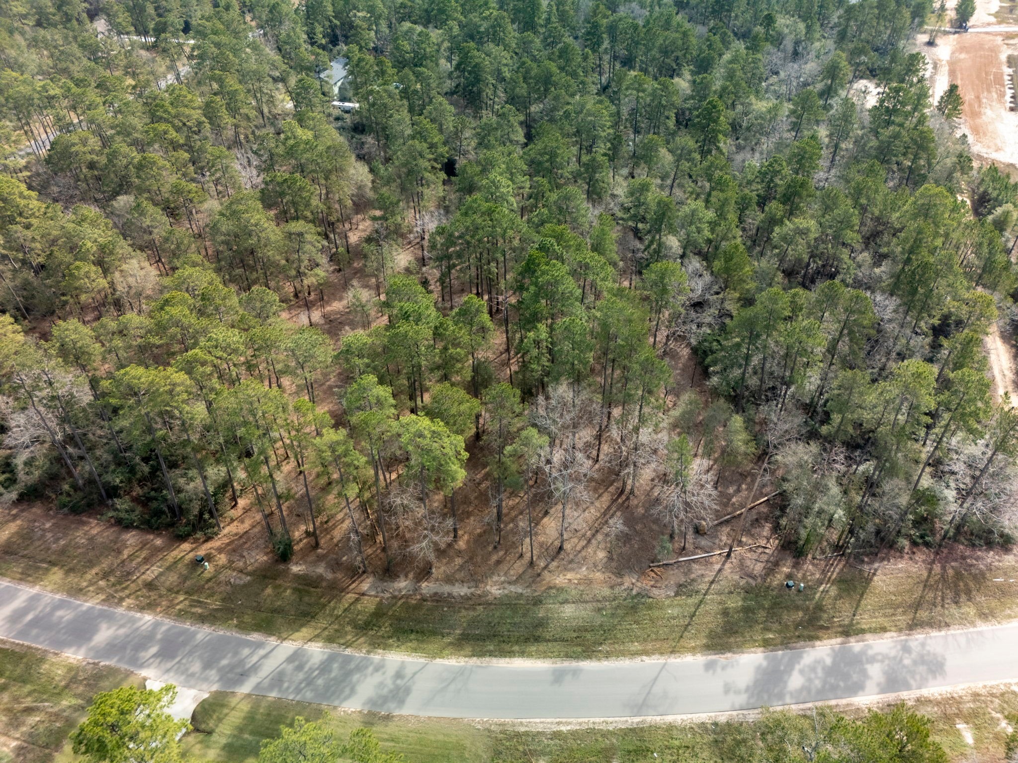 15880 Four Hls Road Willis, TX 77378 - Photo 20 of 25 a view of a yard with large trees