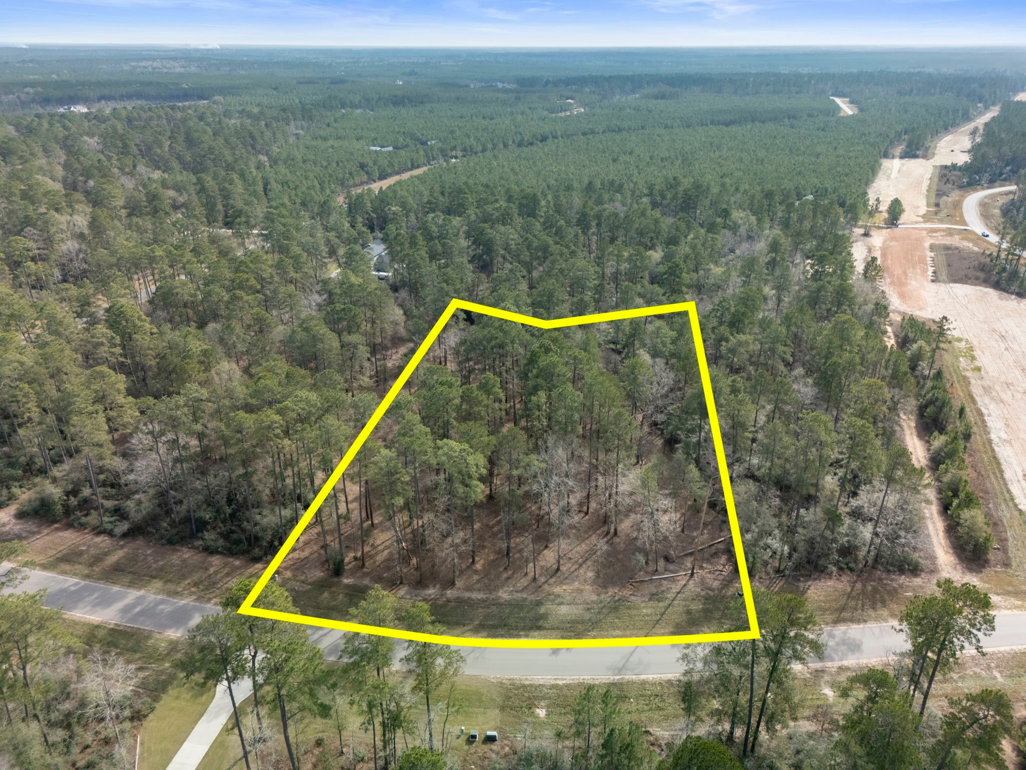 15880 Four Hls Road Willis, TX 77378 - Photo 23 of 25 a view of a yard