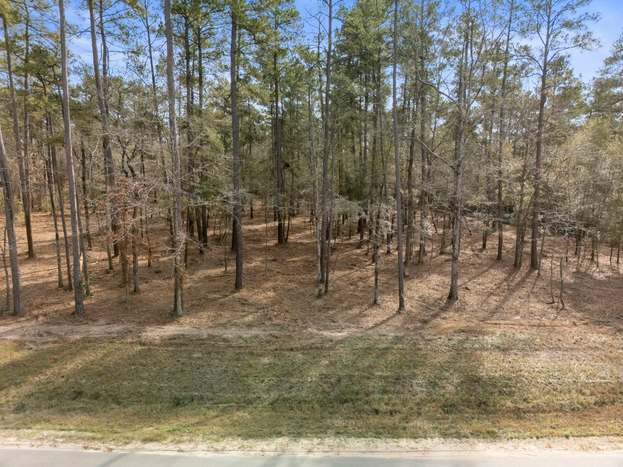 15880 Four Hls Road Willis, TX 77378 - Photo 3 of 25 a view of outdoor space
