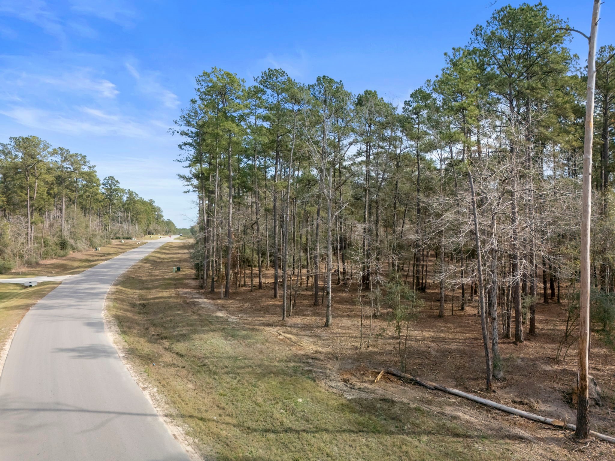 15880 Four Hls Road Willis, TX 77378 - Photo 4 of 25 a view of a park with trees