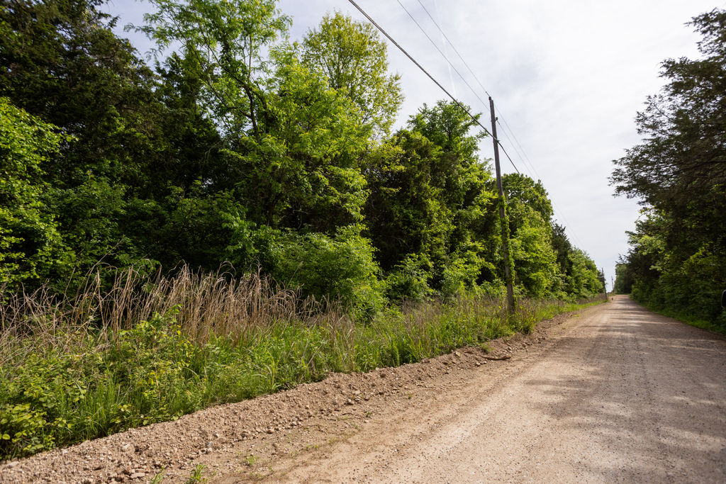 1 Horseshoe Bnd Road Lead Hill, AR 72644 - Photo 46 of 46 Expansive natural landscape with a gravel road, mature trees, and dense foliage providing natural screening