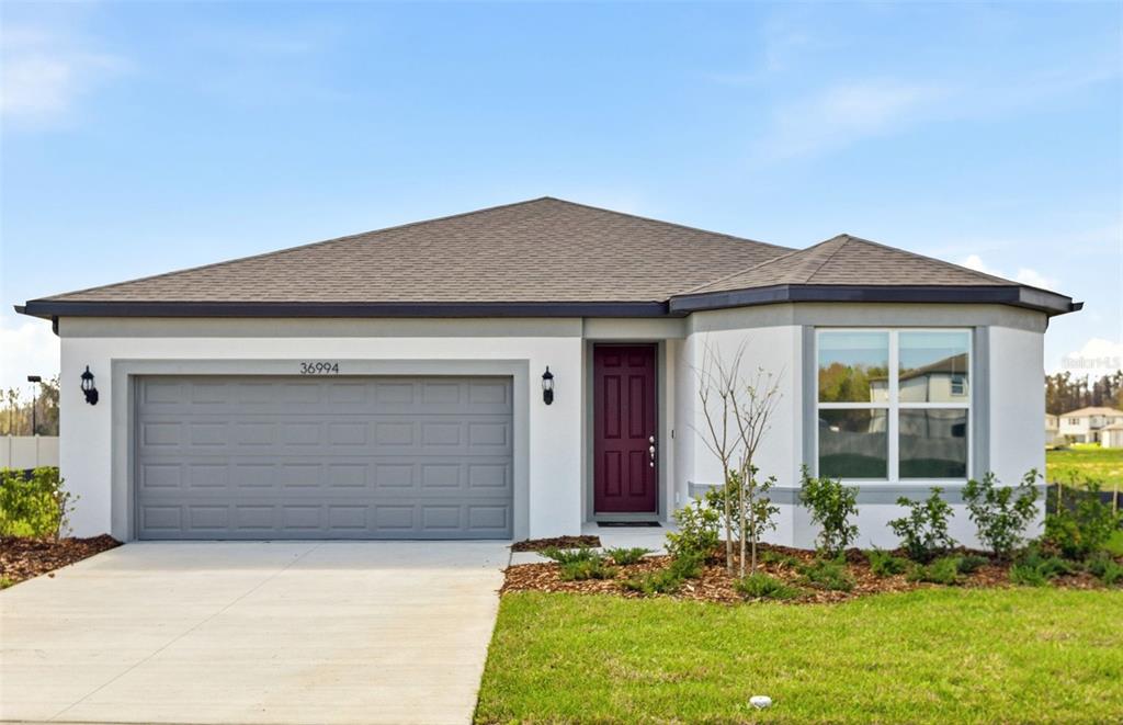 36994 Rio Grande Drive Zephyrhills, FL 33540 - Photo 1 of 1