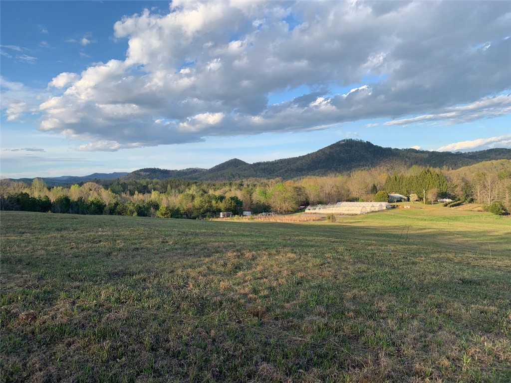 710-782 Little Eastatoee Road Sunset, SC 29685 - Photo 8 of 31