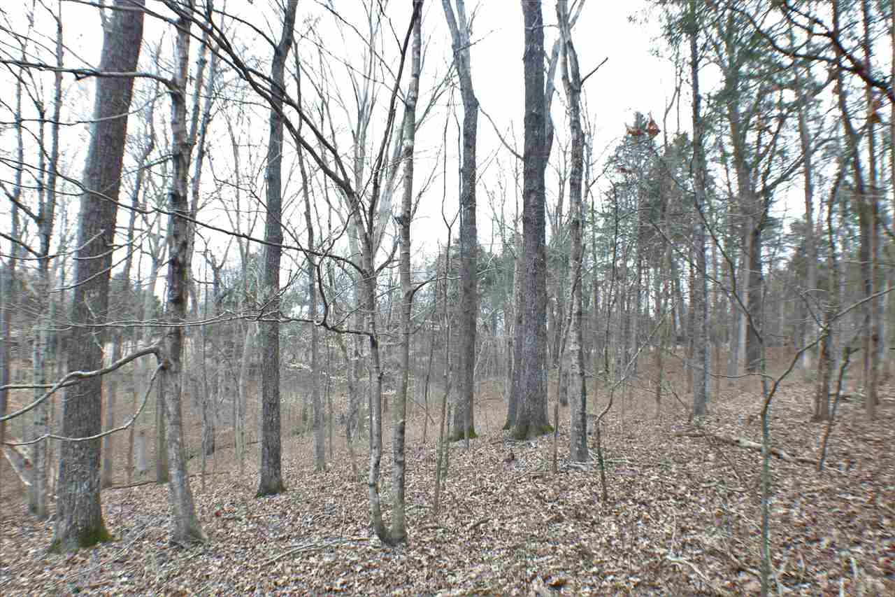 5606 Forgy Mill Road Dunmor, KY 42339 - Photo 27 of 28 Gallery Image 27
