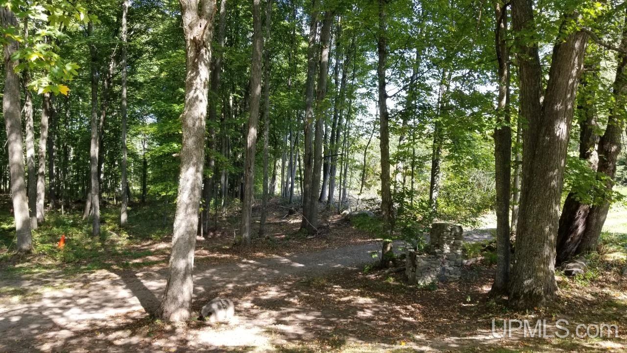 217 Reiman Road Iron River, MI 49935 - Photo 55 of 76