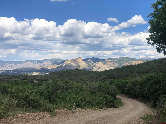 a view of a city with lush green forest