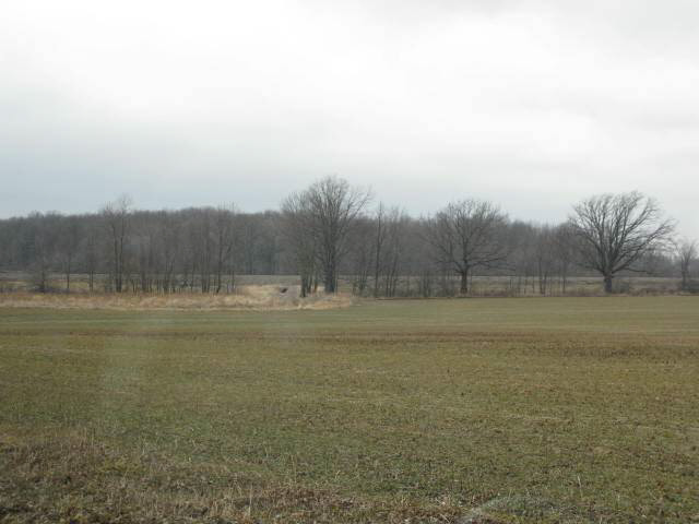 0 Cty Rd 44 Butler, IN 46721 - Photo 3 of 3