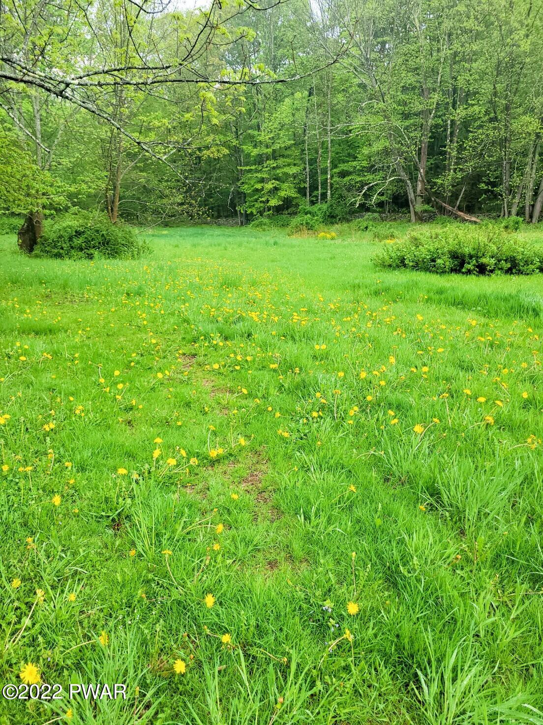 245 Hemlock Grove Road Newfoundland, PA 18445 - Photo 4 of 4
