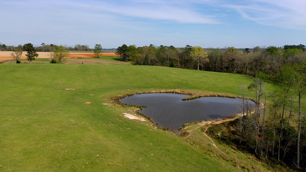 369 Bud Gary Road Clayton, AL 36016 - Photo 9 of 42
