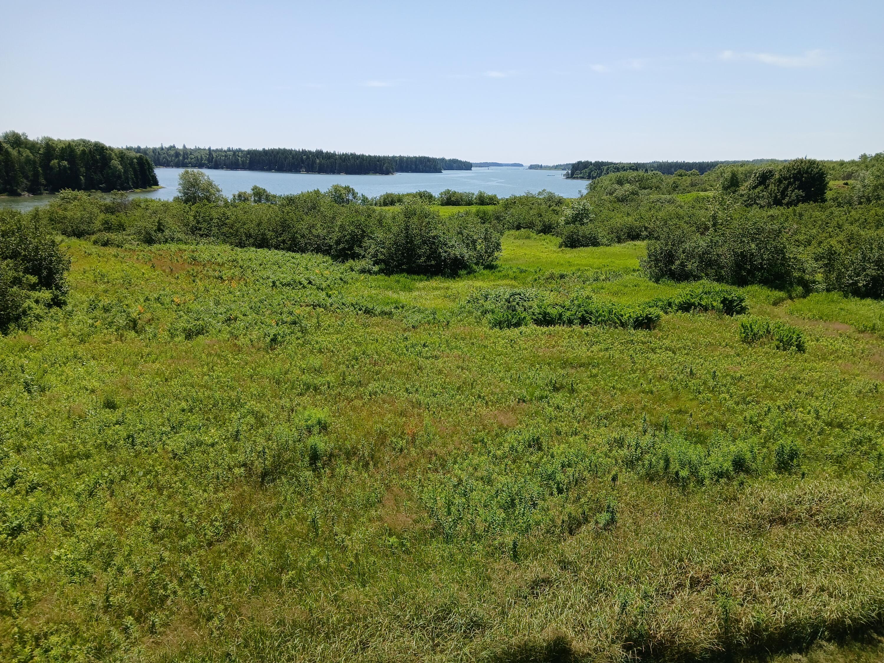 190 Basin Road Addison, ME 04606 - Photo 1 of 11 Property with view