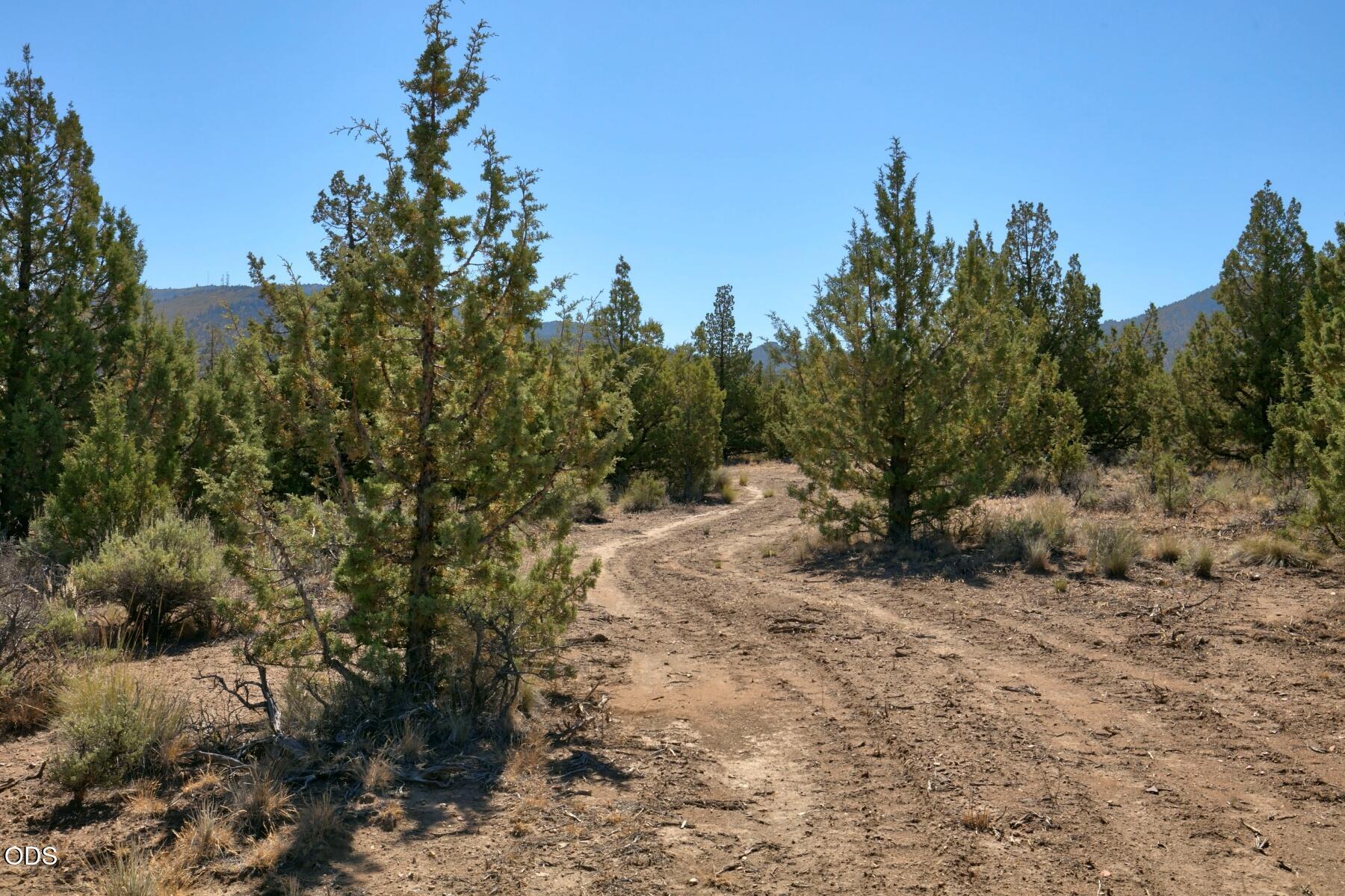 0 Southwest Reif Road, Unit PARCEL 1 Powell Butte, OR 97753 - Photo 11 of 20