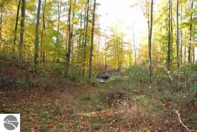 10985 Hooker Road Honor, MI 49640 - Photo 21 of 23 1731429-20.JPG