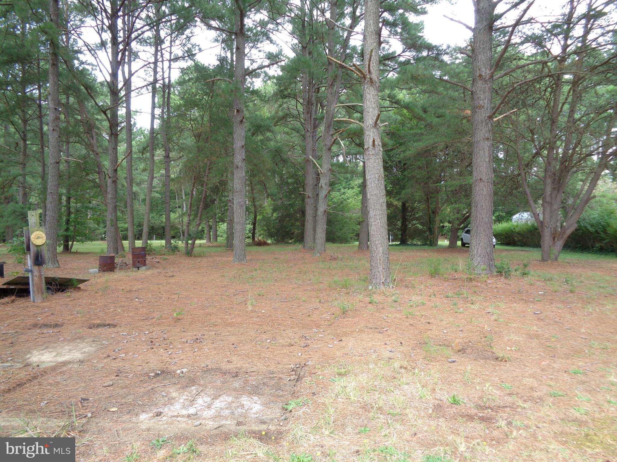 Lot 6 Cornell Avenue Ridge, MD 20680 - Photo 13 of 19 Gallery Image 13